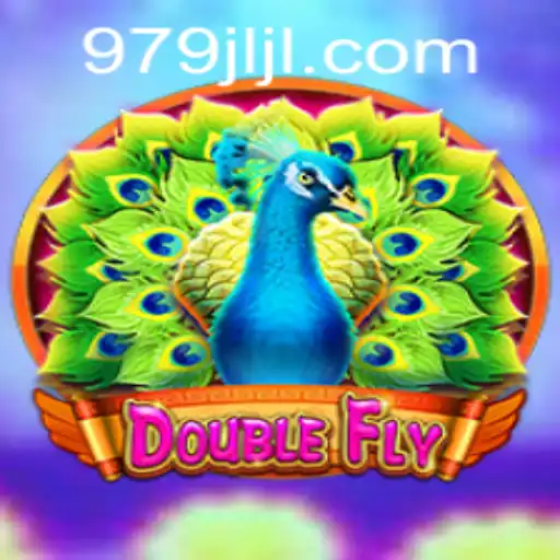 The Exciting Adventure of DoubleFly
